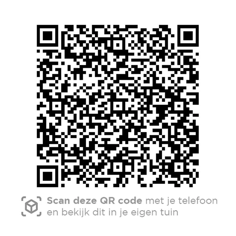 4 Seasons Outdoor Bernini Tuinstoel - Platinum - Image 3