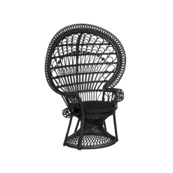 Beliani Fauteuil EMMANUELLE - Zwart Rotan